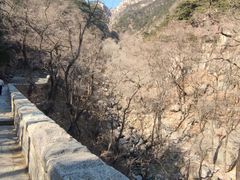 -泰山风景名胜区