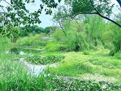-西湖风景区-江洋畈生态公园