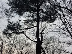 -紫金山索道-售票处