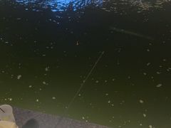 -DGE季风钓虾营地·团建·聚会