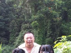 -武吉知马自然保护区