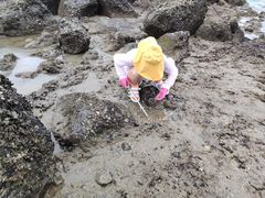 -硇洲岛旅游区