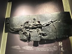 -贵州省地质博物馆