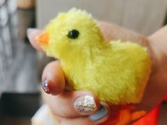 -李子坝梁山鸡(李子坝大鸡哥店)