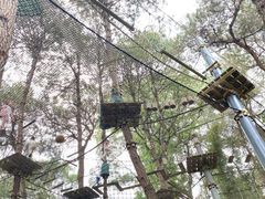 -芦仙山景区-飞越丛林探险乐园