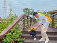 -王借岗森林公园