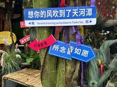 -天河潭旅游度假区