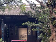 -八大山人梅湖景区