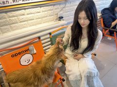 -平行世界·猫咖(首经贸店)