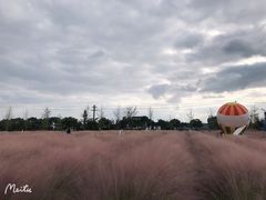 -鹅湖玫瑰文化园