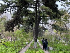 -长春市南湖公园