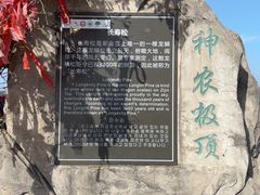 -神农山景区