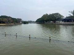-江心屿景区