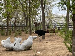 -大连森林动物园