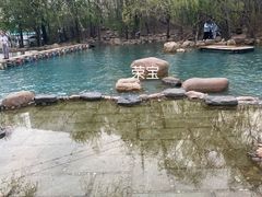 -大鹅岛绿色生态美食园