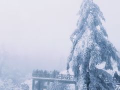 -瓦屋山景区