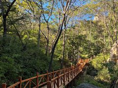 -大岭沟猕猴桃谷风景区