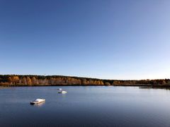 -塞罕坝国家级自然保护区