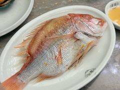 -吴记富苑(朝阳店)