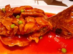 松鼠大桂鱼-绿波廊(豫园店)