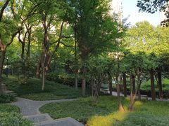 -徐家汇源景区-衡山公园