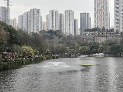 -重庆彩云湖湿地公园