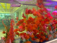 -骏莱海鲜鱼港(五角场店)