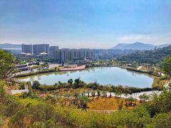 -飞凤山奥体公园