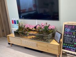 -Lumi露米·美甲美睫品质店