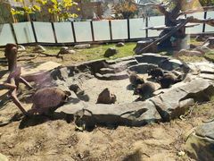 -大连森林动物园