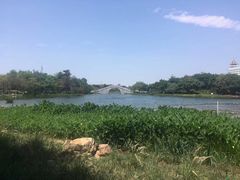 -映月湖公园