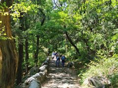 -阳台山自然风景区