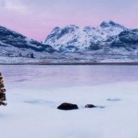 -薇兰专业脱毛连锁机构