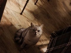 -不舍昼夜咖啡馆