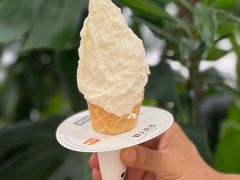 -野人先生Gelato(上海长宁龙之梦店)