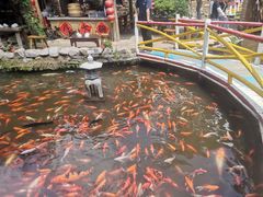 -竹泉村旅游度假区