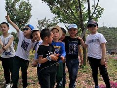 -绵阳盛世樱花悠乐谷