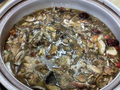 -东巴谷野生菌火锅餐厅