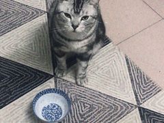 -咕噜咕噜宠物医院·CT·肿瘤科·骨科(前海院)