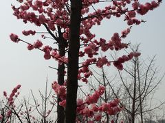 -西安汉城湖景区