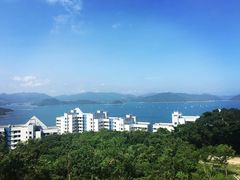 -香港大学