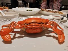 -鹿园 MOOSE(长宁店)
