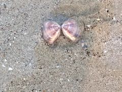 -南澳海滩
