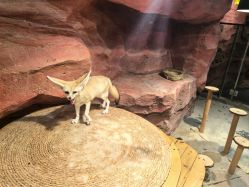 -Zoolung Zoolung动物主题公园(海信广场店)