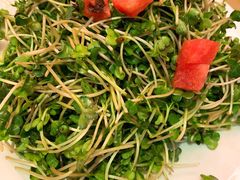 -赵记煎饼卷大葱(东岳店)