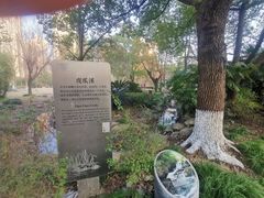 -苏州河梦清园环保主题公园