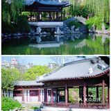 游宁波「景」令人流连忘返富有历史底蕴和人文景观的城市湖泊公园