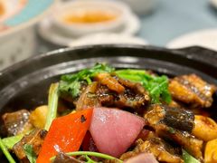 啫啫黄鳝煲-北园酒家(小北路店)