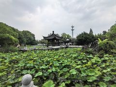 -丝绸小镇荻港古村