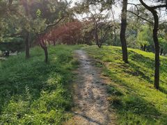 -元大都城垣遗址公园